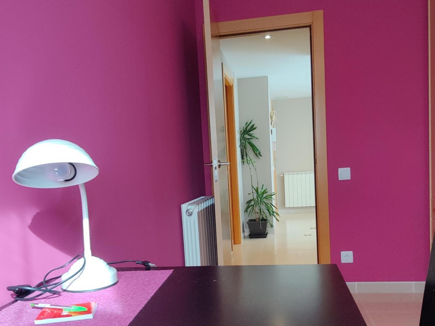 Ferienwohnung Ca L'Esmolet Tremp Exterior foto